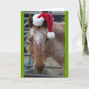 Appaloosa mit Weihnachtsmannmütze Feiertagskarte