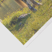 Appaloosa Pferd am See Landschaftliche Entdeckungs Seidenpapier (Ausschnitt)