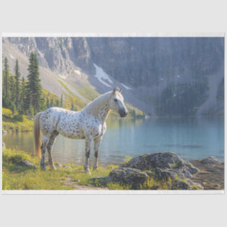 Appaloosa Pferd am See Landschaftliche Entdeckungs Seidenpapier