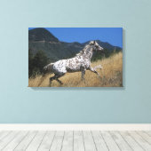 Appaloosa Pferd auf dem Berg Leinwanddruck (Insitu (Holzboden))