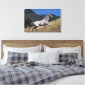 Appaloosa Pferd auf dem Berg Leinwanddruck (Insitu (Schlafzimmer))