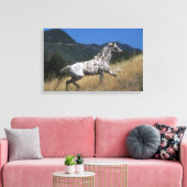 Appaloosa Pferd auf dem Berg Leinwanddruck (Insitu (Wohnzimmer))
