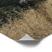 Appaloosa Pferd auf dem Berg Poster (Ecke)