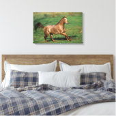 Appaloosa Pferd auf Grassy Field Leinwanddruck (Insitu (Schlafzimmer))