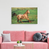Appaloosa Pferd auf Grassy Field Leinwanddruck (Insitu (Wohnzimmer))
