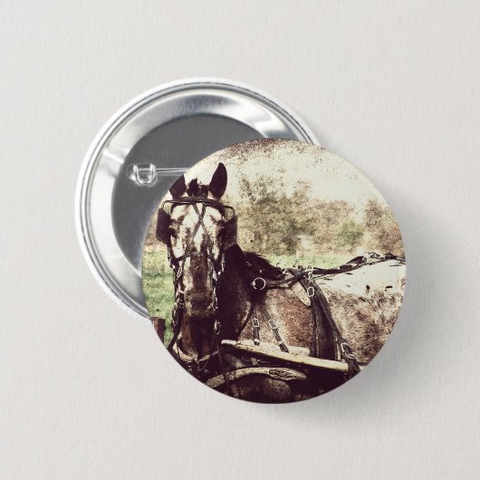 Appaloosa Pferd Button (Vorne & Hinten)