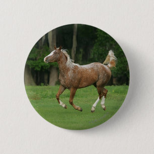 Appaloosa-Pferd Button