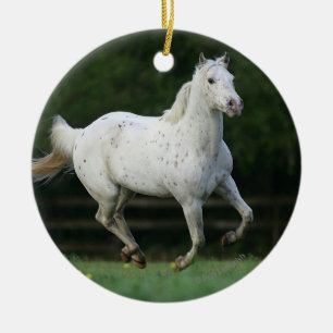 Appaloosa-Pferd, das 1 laufen lässt Keramik Ornament