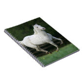 Appaloosa-Pferd, das 1 laufen lässt Notizblock (Rechte Seite)