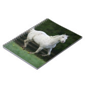 Appaloosa-Pferd, das 1 laufen lässt Notizblock (Linke Seite)