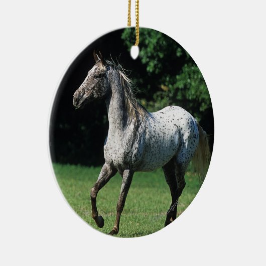 Appaloosa-Pferd, das 2 laufen lässt Keramikornament (Rechts)