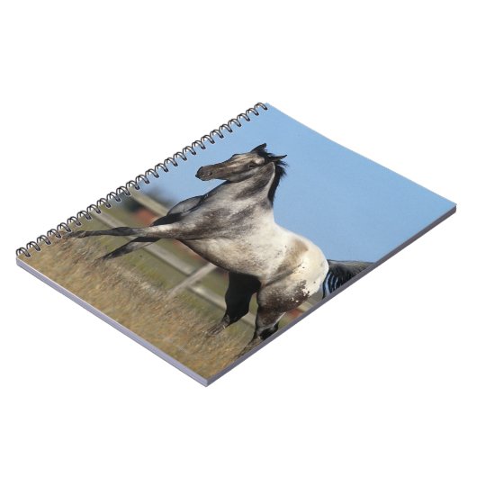 Appaloosa-Pferd, das 3 laufen lässt Notizblock (Linke Seite)