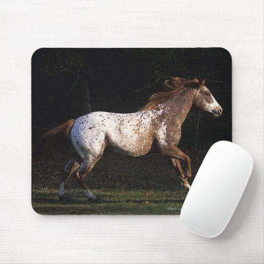 Appaloosa-Pferd, das 4 laufen lässt Mousepad (Mit Mouse)