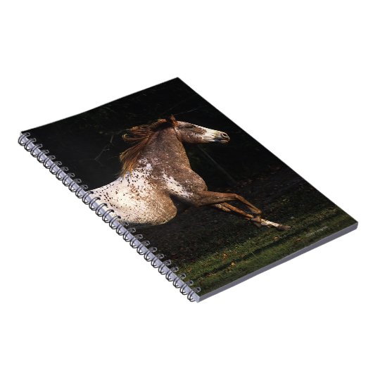 Appaloosa-Pferd, das 4 laufen lässt Notizblock (Rechte Seite)