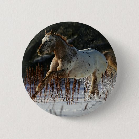 Appaloosa-Pferd, das in den Schnee läuft Button (Vorderseite)