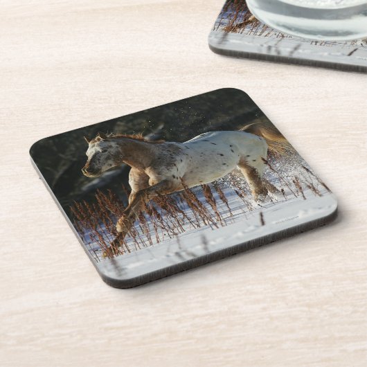 Appaloosa-Pferd, das in den Schnee läuft Getränkeuntersetzer (Linke Seite)