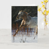 Appaloosa-Pferd, das in den Schnee läuft Karte (Gelbe Blume)