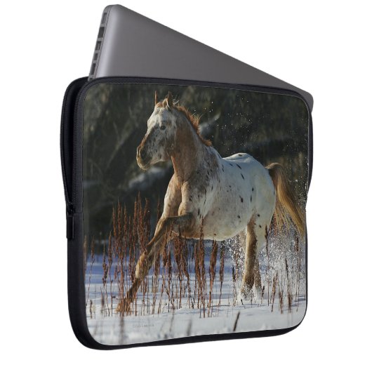 Appaloosa-Pferd, das in den Schnee läuft Laptopschutzhülle (Vorne Rechts)