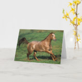 Appaloosa-Pferd, das in grasartiges Feld läuft Karte (Gelbe Blume)