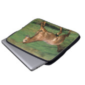 Appaloosa-Pferd, das in grasartiges Feld läuft Laptopschutzhülle (Vorne Knopf)