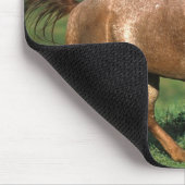 Appaloosa-Pferd, das in grasartiges Feld läuft Mousepad (Ecke)