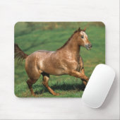 Appaloosa-Pferd, das in grasartiges Feld läuft Mousepad (Mit Mouse)
