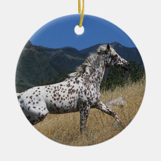 Appaloosa-Pferd, das oben Berg laufen lässt Keramik Ornament (Vorne)