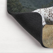 Appaloosa-Pferd, das oben Berg laufen lässt Mousepad (Ecke)