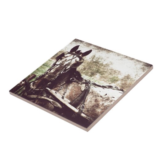 Appaloosa Pferd Fliese (Seite)