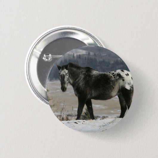 Appaloosa-Pferd im Schnee Button (Vorne & Hinten)