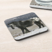 Appaloosa-Pferd im Schnee Getränkeuntersetzer (Linke Seite)