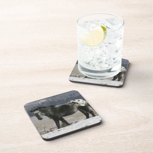 Appaloosa-Pferd im Schnee Getränkeuntersetzer (Rechte Seite)