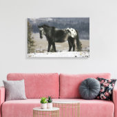 Appaloosa Pferd im Schnee Leinwanddruck (Insitu (Wohnzimmer))