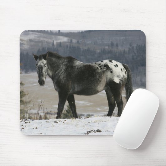 Appaloosa-Pferd im Schnee Mousepad (Mit Mouse)