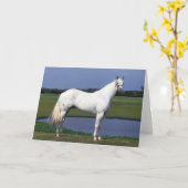 Appaloosa-Pferd Karte (Gelbe Blume)