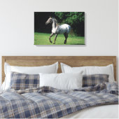 Appaloosa Pferd läuft 2 Leinwanddruck (Insitu (Schlafzimmer))