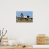 Appaloosa Pferd läuft 3 Poster (Küche)