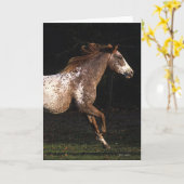 Appaloosa Pferd läuft 4 Karte (Gelbe Blume)