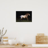 Appaloosa Pferd läuft 4 Poster (Küche)