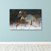 Appaloosa Pferd läuft im Schnee Leinwanddruck (Insitu (Holzboden))
