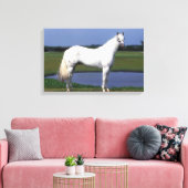 Appaloosa Pferd Leinwanddruck (Insitu (Wohnzimmer))