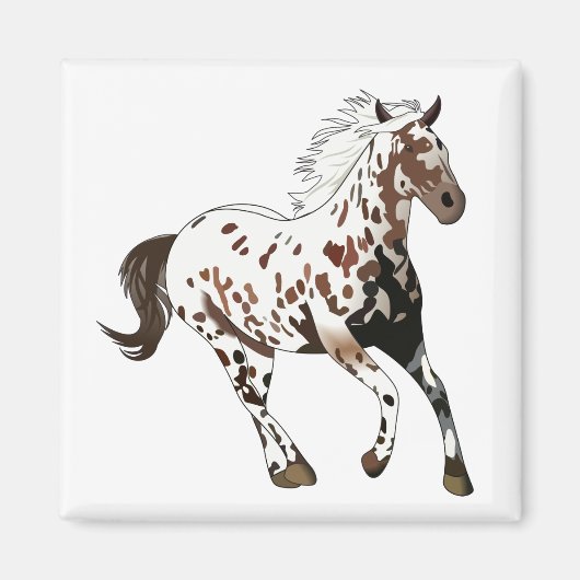 Appaloosa Pferd Magnet (Vorne)
