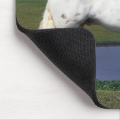 Appaloosa-Pferd Mousepad (Ecke)