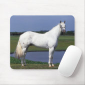 Appaloosa-Pferd Mousepad (Mit Mouse)