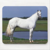 Appaloosa-Pferd Mousepad (Vorne)