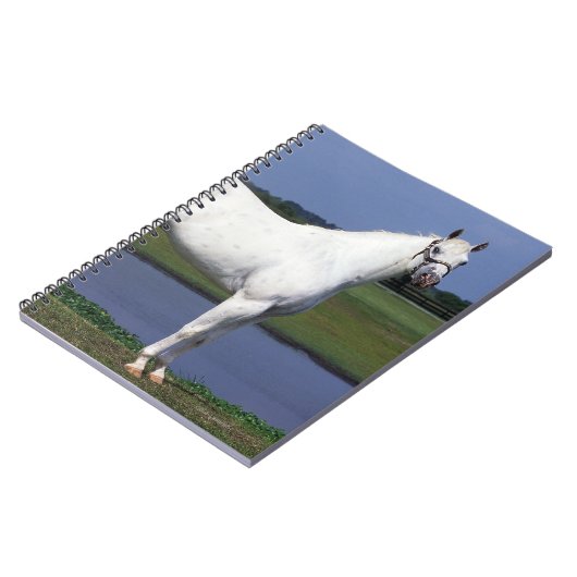 Appaloosa-Pferd Notizblock (Linke Seite)