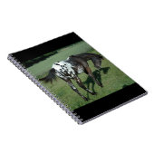 Appaloosa Pferd Notizblock (Rechte Seite)