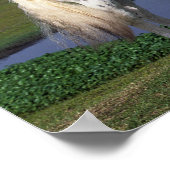 Appaloosa Pferd Poster (Ecke)