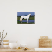 Appaloosa Pferd Poster (Küche)