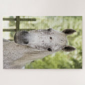 Appaloosa Pferd Puzzle (Horizontal)